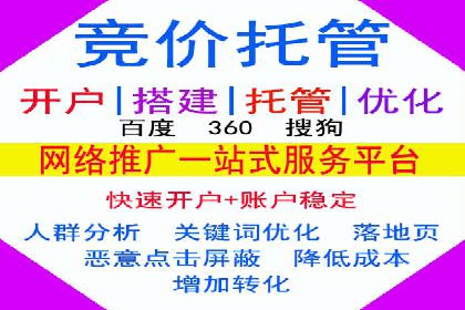 SEM托管实战案例：助力企业品牌形象塑造
